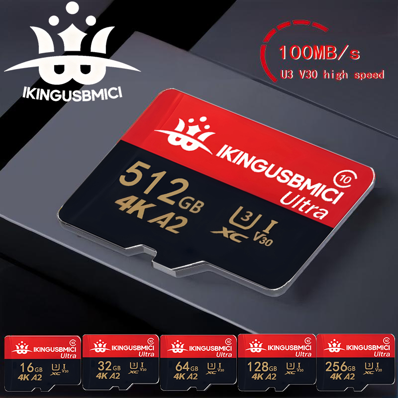 Dash Cam Sd Card 256Gb High Endurance - Tarjetas de Memoria TF/SD Micro TF/SD